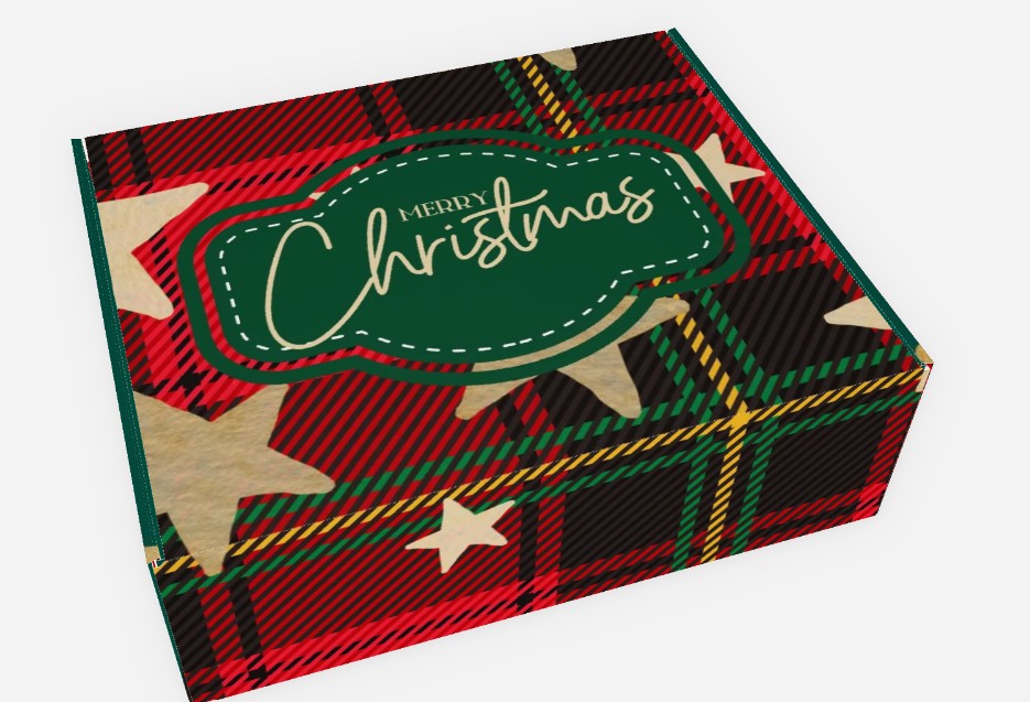 Merry Christmas Plaid Mailer