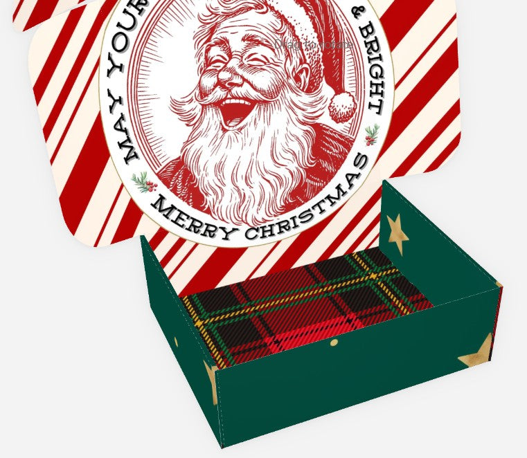 Merry Christmas Plaid Mailer