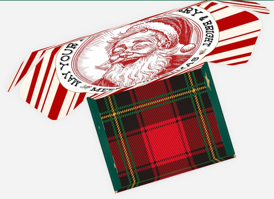 Merry Christmas Plaid Mailer