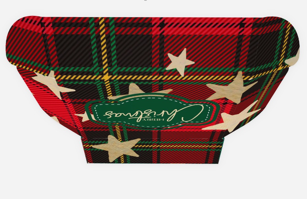 Merry Christmas Plaid Mailer